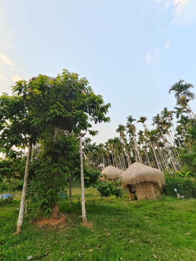 Three Roots Holiday Home Resort Sultan Bathery Exterior foto